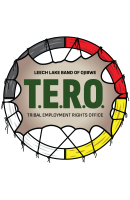 TERO logo